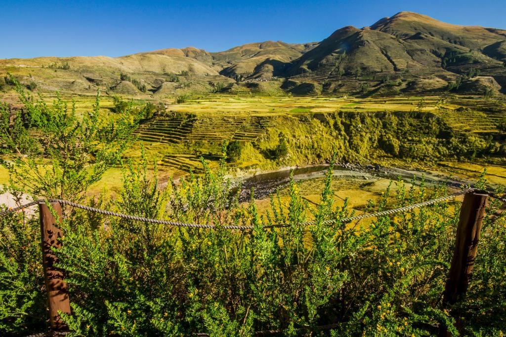 Eco Inn Colca Yanque Buitenkant foto