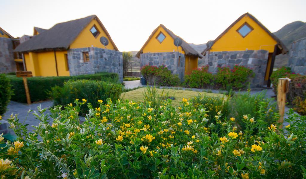 Eco Inn Colca Yanque Buitenkant foto