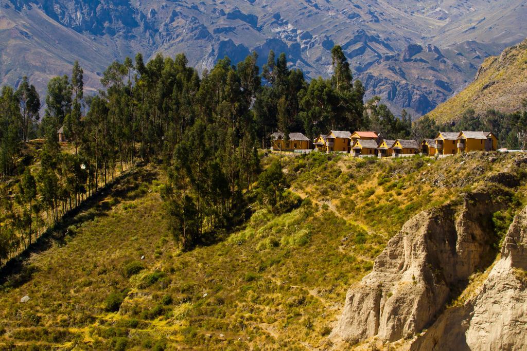 Eco Inn Colca Yanque Buitenkant foto