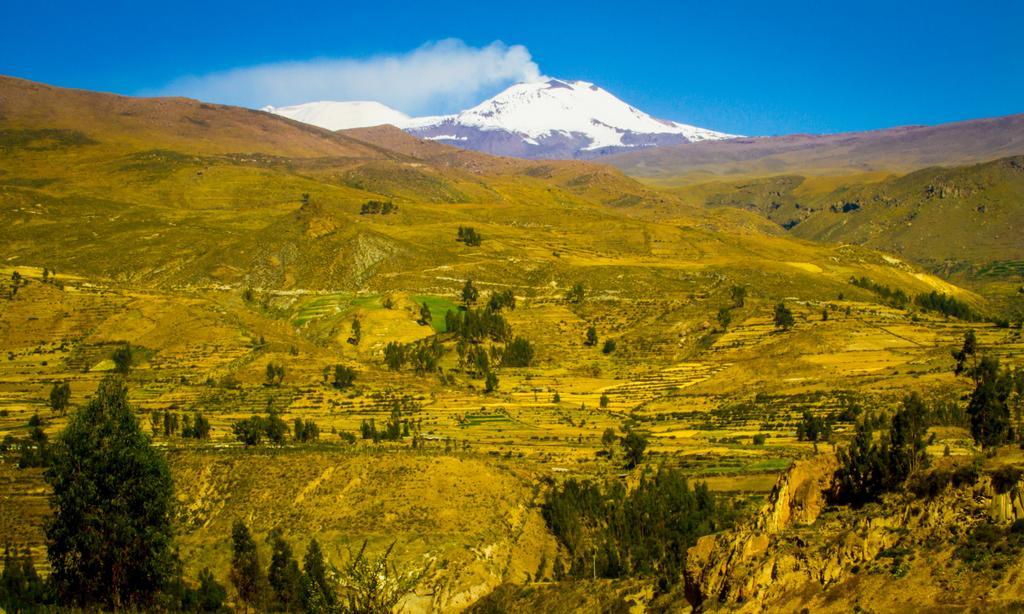 Eco Inn Colca Yanque Buitenkant foto