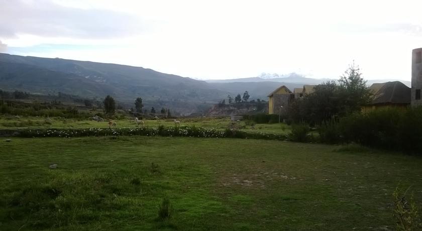 Eco Inn Colca Yanque Buitenkant foto
